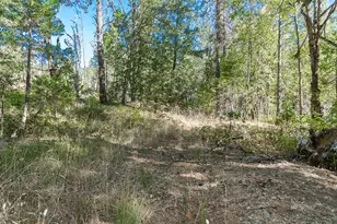 950 Bear Creek Rd, Cave Junction, OR 97523 - Photo 23