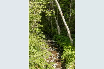 950 Bear Creek Road, Cave Junction, OR 97523 - Photo 35