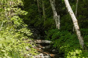 950 Bear Creek Rd, Cave Junction, OR 97523 - Photo 35