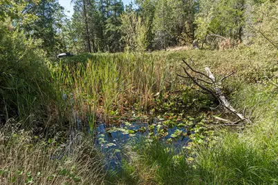 950 Bear Creek Road, Cave Junction, OR 97523 - Photo 27