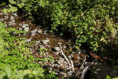 950 Bear Creek Road, Cave Junction, OR 97523 - Photo 33