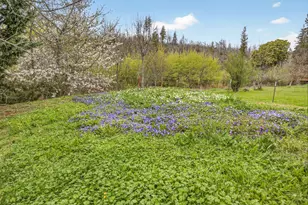 5498 Butte Falls Hwy, Eagle Point, OR 97524 - Photo 21