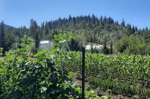 5498 Butte Falls Hwy, Eagle Point, OR 97524 - Photo 41