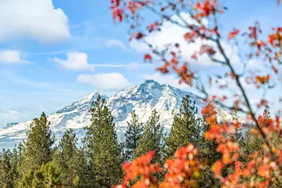 69485 Deer Ridge Road, Sisters, OR 97759 - Photo 29