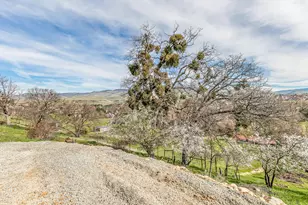 852 Oak St, Ashland, OR 97520 - Photo 67