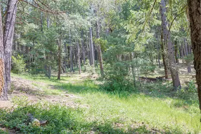 525 Ingalls Lane, Wilderville, OR 97543 - Photo 75