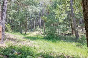 525 Ingalls Ln, Wilderville, OR 97543 - Photo 75