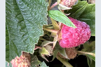 2218 SW 79th Street, Redmond, OR 97756 - Photo 49