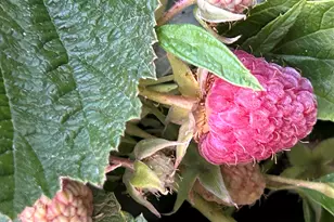 2218 SW 79th St, Redmond, OR 97756 - Photo 49