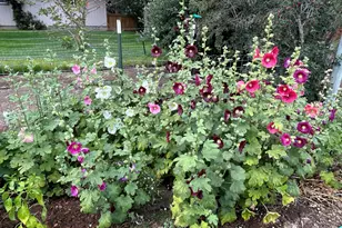 2218 SW 79th St, Redmond, OR 97756 - Photo 53