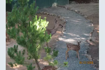 260 Highwood Lane, Grants Pass, OR 97527 - Photo 47