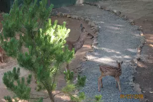 260 Highwood Ln, Grants Pass, OR 97527 - Photo 47