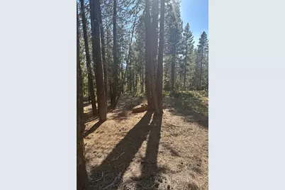 201 Hwy 58, Crescent Lake, OR 97733 - Photo 3