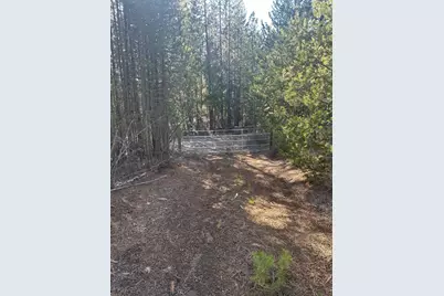 201 Hwy 58, Crescent Lake, OR 97733 - Photo 5