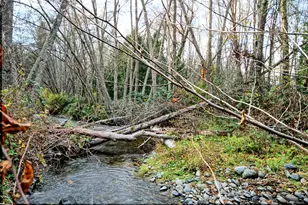 71 Yale Creek Rd, Jacksonville, OR 97530 - Photo 9