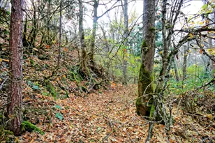 71 Yale Creek Rd, Jacksonville, OR 97530 - Photo 11