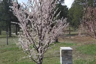 17703 Fishhole Creek, Bly, OR 97622 - Photo 9