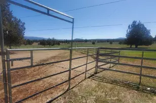 17703 Fishhole Creek, Bly, OR 97622 - Photo 5