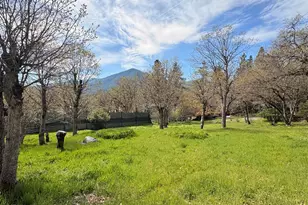 15 Twin Oaks Rd, Jacksonville, OR 97530 - Photo 27