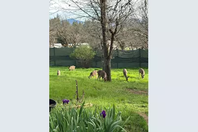 15 Twin Oaks Road, Jacksonville, OR 97530 - Photo 5