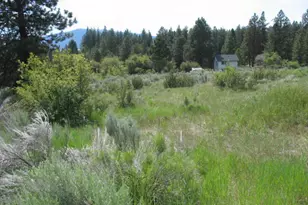 Irving Way, Chiloquin, OR 97624 - Photo 1