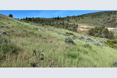 0 Plum Hill Road Road #Lot 702, Klamath Falls, OR 97601 - Photo 11