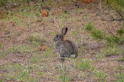 15961 Wright Avenue, La Pine, OR 97739 - Photo 25