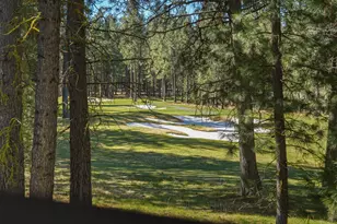 13137 Hawks Beard, Black Butte Ranch, OR 97759 - Photo 45