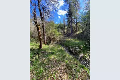 928 N Schoolhouse Creek Road, Grants Pass, OR 97526 - Photo 3