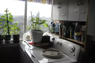 24086 Yellow Jacket Springs Rd, Beatty, OR 97621 - Photo 29