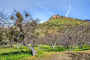 988 Dead Indian Memorial Rd, Ashland, OR 97520 - Photo 127