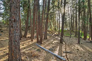 60097 Agate Rd, Bend, OR 97702 - Photo 45