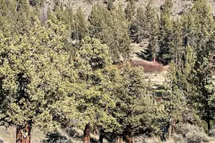 1990 Redtail Hawk Dr, Redmond, OR 97756 - Photo 19