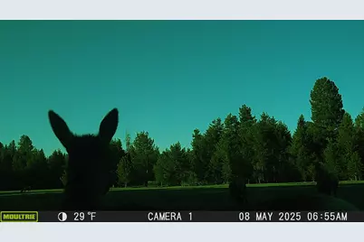 0 Depot Street #2810-00000-00300, Chemult, OR 97731 - Photo 37