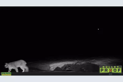 0 Depot Street #2810-00000-00300, Chemult, OR 97731 - Photo 11