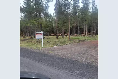 55540 Big River Drive, Bend, OR 97707 - Photo 1