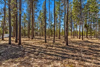55150 Jack Pine Way, Bend, OR 97707 - Photo 17