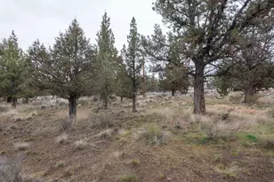 3100 SE Klamath Rd, Prineville, OR 97754 - Photo 19