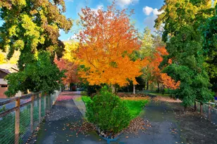 343 Rene Dr, Shady Cove, OR 97539 - Photo 125