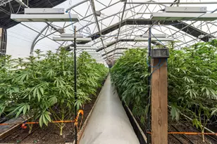 3715 Little Applegate Rd, Jacksonville, OR 97530 - Photo 43