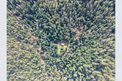 2787 Davis Creek Road, Selma, OR 97538 - Photo 17