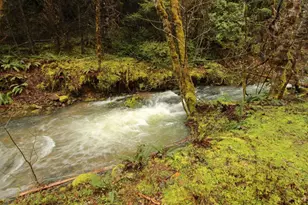 509 Marble Mountain Rd, Grants Pass, OR 97527 - Photo 11