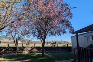 1055 N 5th, Jacksonville, OR 97530 - Photo 19