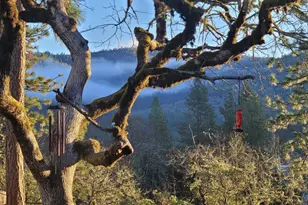 217 White Oak Way, Shady Cove, OR 97539 - Photo 29