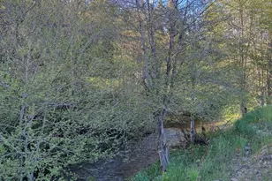 18248 Redwood Hwy, Selma, OR 97538 - Photo 81