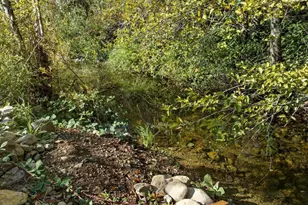 18248 Redwood Hwy, Selma, OR 97538 - Photo 67