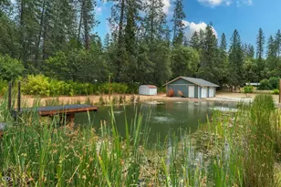 649 Pleasant Valley Rd, Merlin, OR 97532 - Photo 35