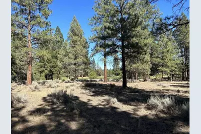 17167 Caddis Court, Sisters, OR 97759 - Photo 3