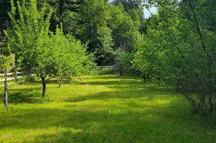 2727 Murphy Creek Rd, Grants Pass, OR 97527 - Photo 61