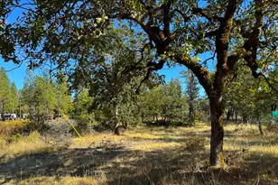 Obrien W, O'Brien, OR 97534 - Photo 1